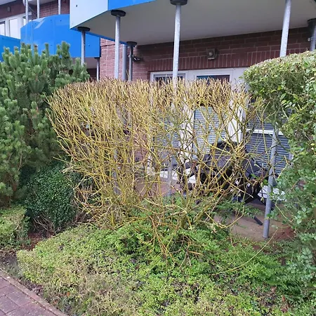 Kleiner Moevenschiss アパート