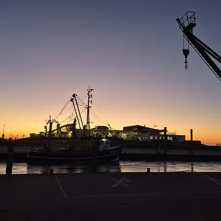 Kleiner Moevenschiss ドルム・ノイフェルト