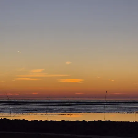 Kleiner Moevenschiss * ドルム・ノイフェルト